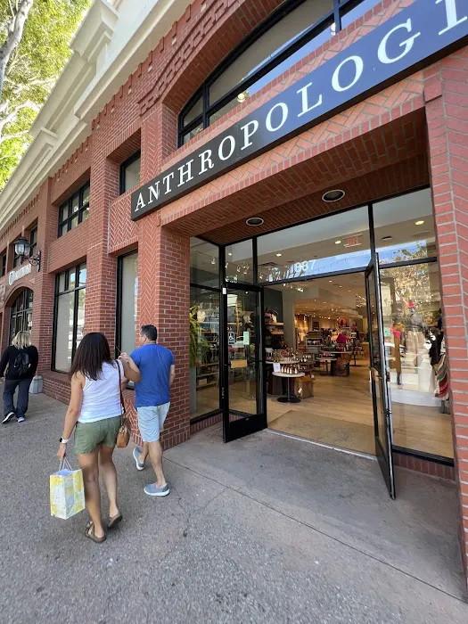 Anthropologie 4