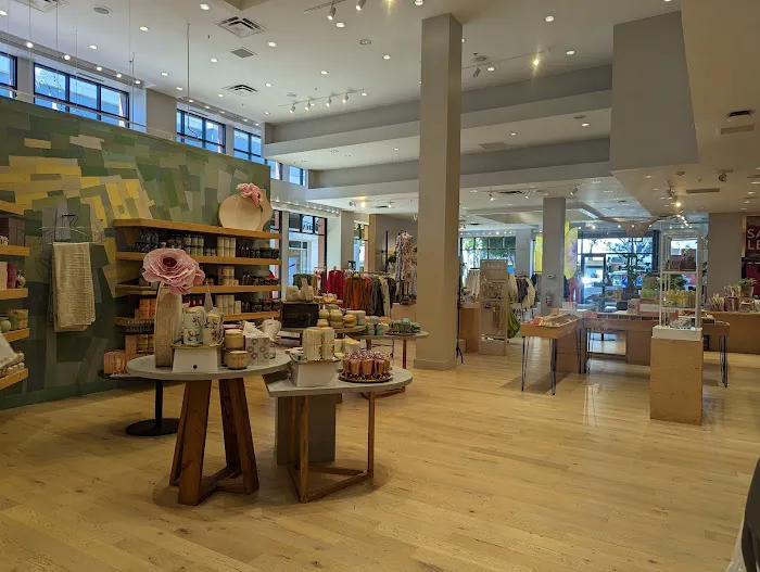 Anthropologie 1