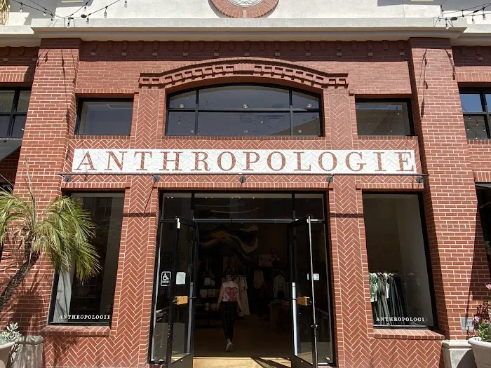 Anthropologie 0