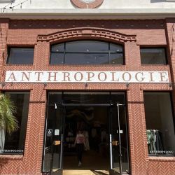 Anthropologie ico