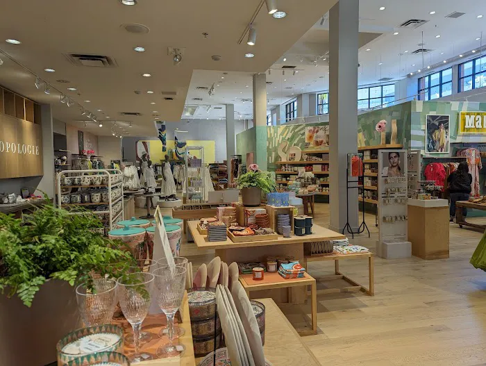 Anthropologie 3