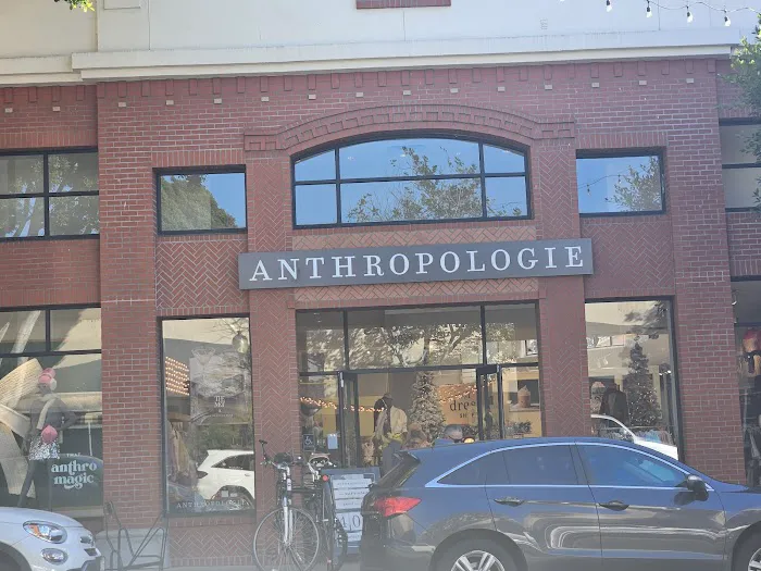 Anthropologie 7