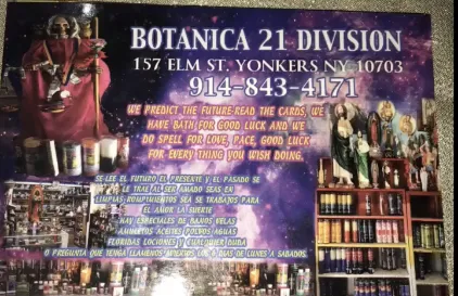 21 Division Botanica 1