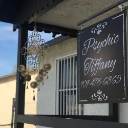 Psychic Tiffany’s Spiritual Healing Center ico