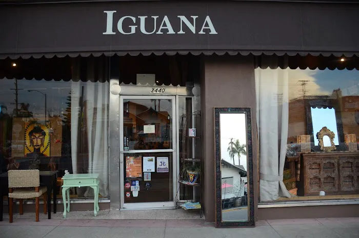 Iguana Import Gallery 0