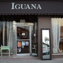 Iguana Import Gallery ico