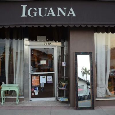 Iguana Import Gallery