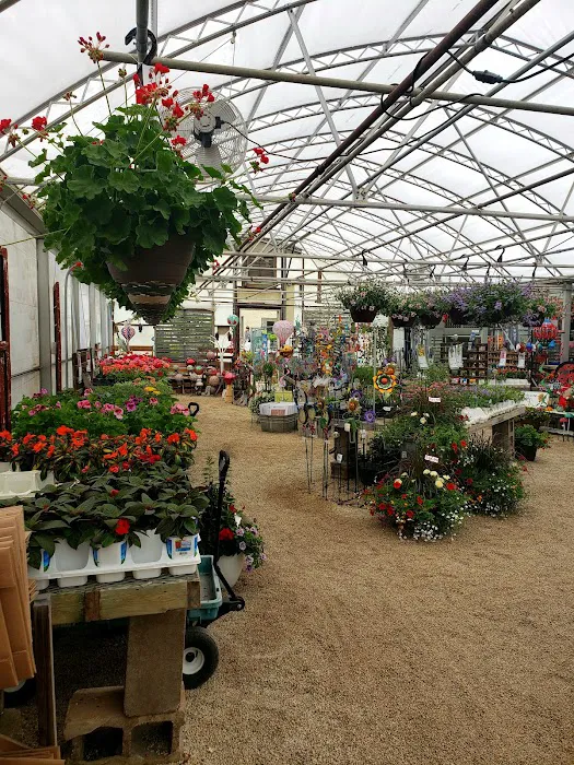 Sparta Floral & Greenhouses, Inc. 3