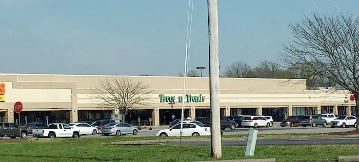 Trees n Trends - Paducah, KY 9