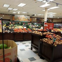 Kroger ico