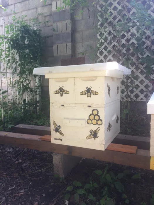 Betterbee: Beekeeping Supplies & Equipment 4