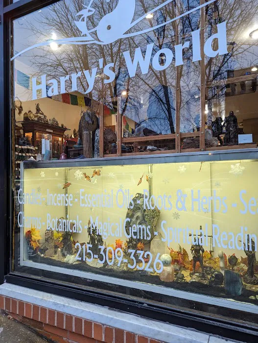 Harry's World (metaphysical gift store) 1