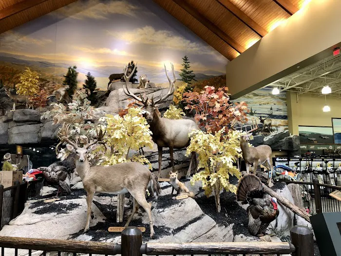 Bass Pro Shops 6