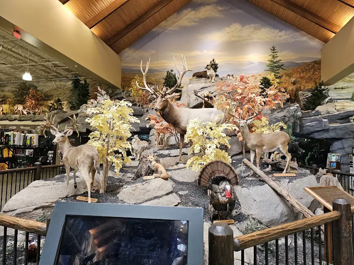 Bass Pro Shops 9