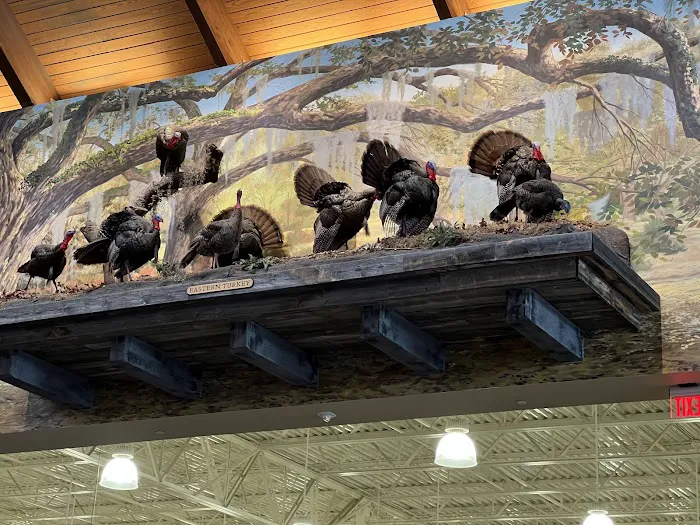 Bass Pro Shops 7