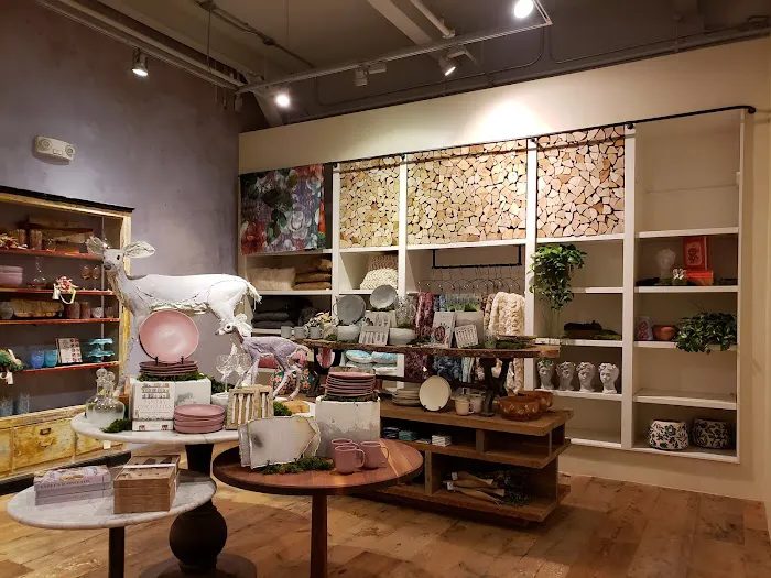 Anthropologie 1