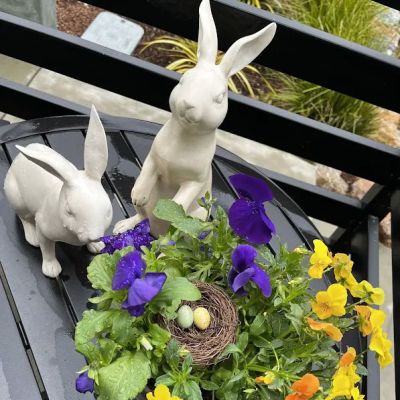 Magnolia Fine Gifts & Gallery at Aptos Village