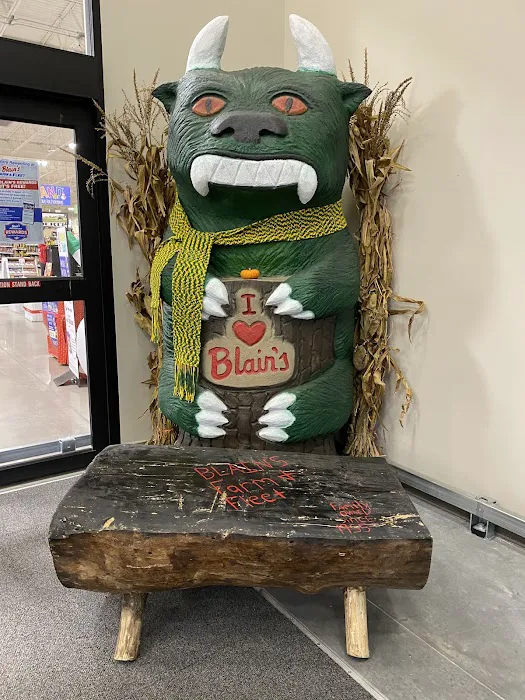 Blain's Farm & Fleet - Rhinelander, Wisconsin 7