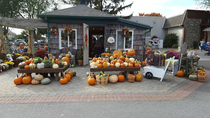 Old Candle Barn - Gift Shop 8