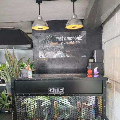 Metamorphic Co.