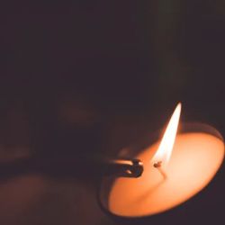 Blumenberg Candle Company ico