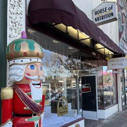 Sandi's Candies & Fudgery ico