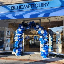 Bluemercury ico