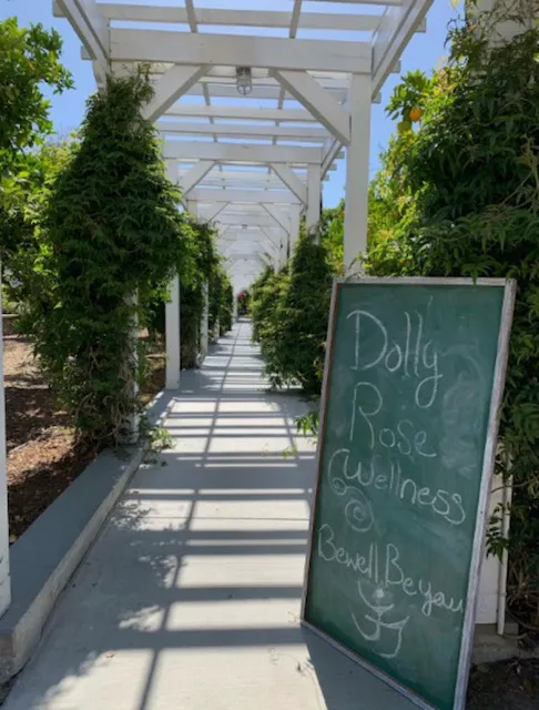 Dolly Rose Wellness 2