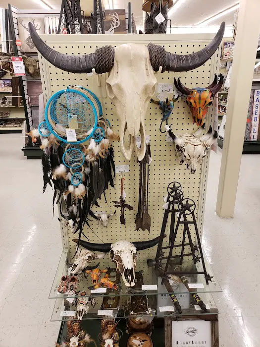 Hobby Lobby 5