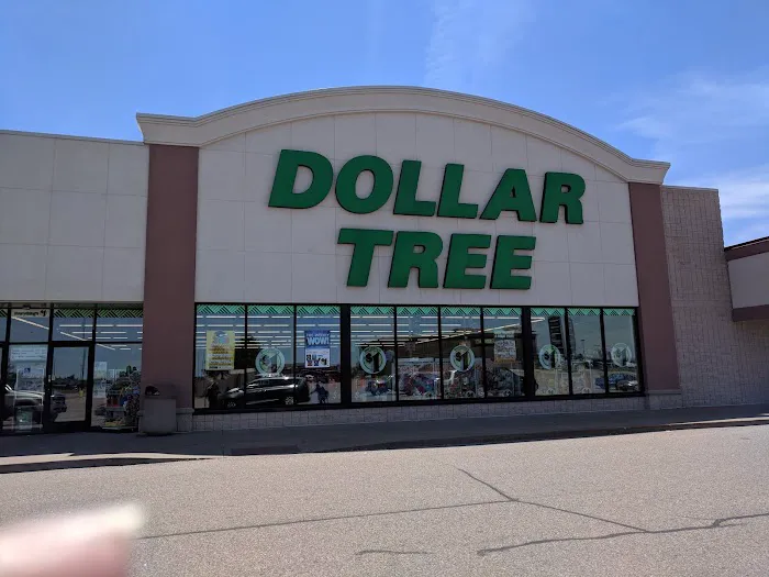 Dollar Tree 5