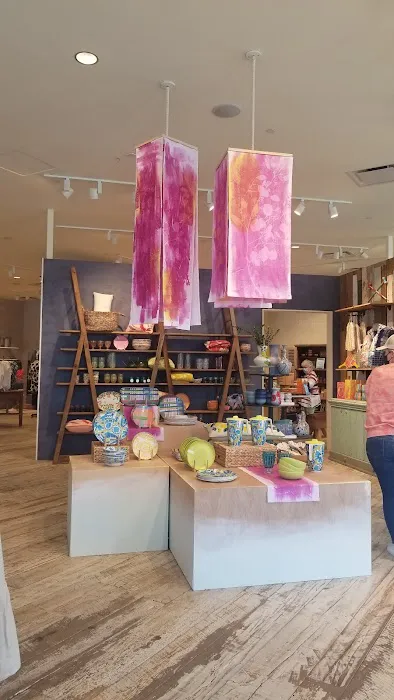 Anthropologie 6