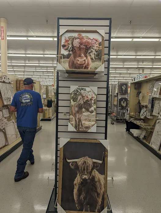 Hobby Lobby 8