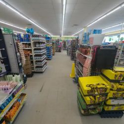 Dollar Tree ico