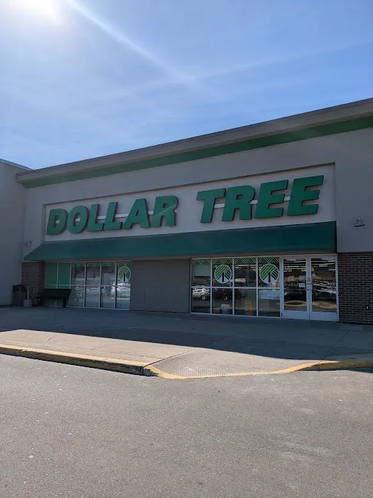 Dollar Tree 5