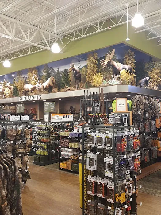 Cabela's 9