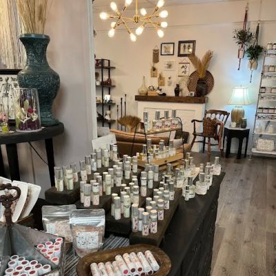 Light & Pine Collective