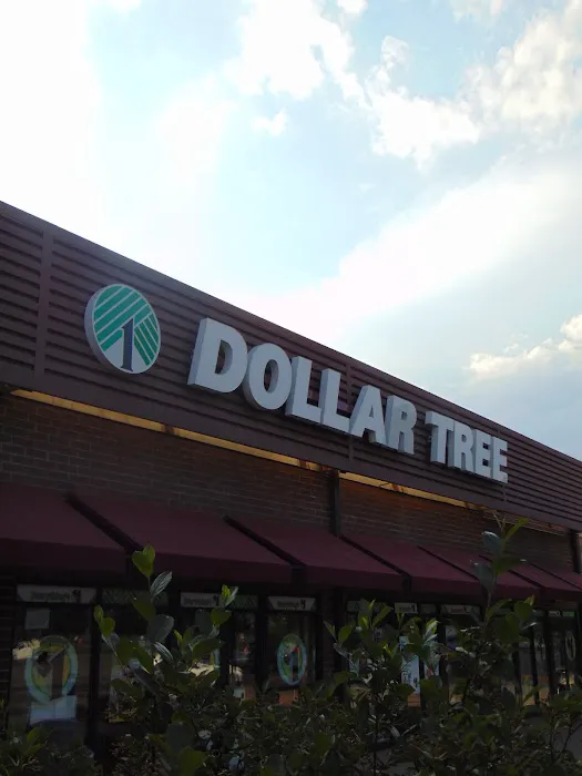 Dollar Tree 1