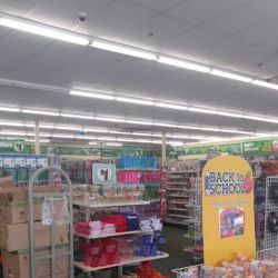 Dollar Tree ico