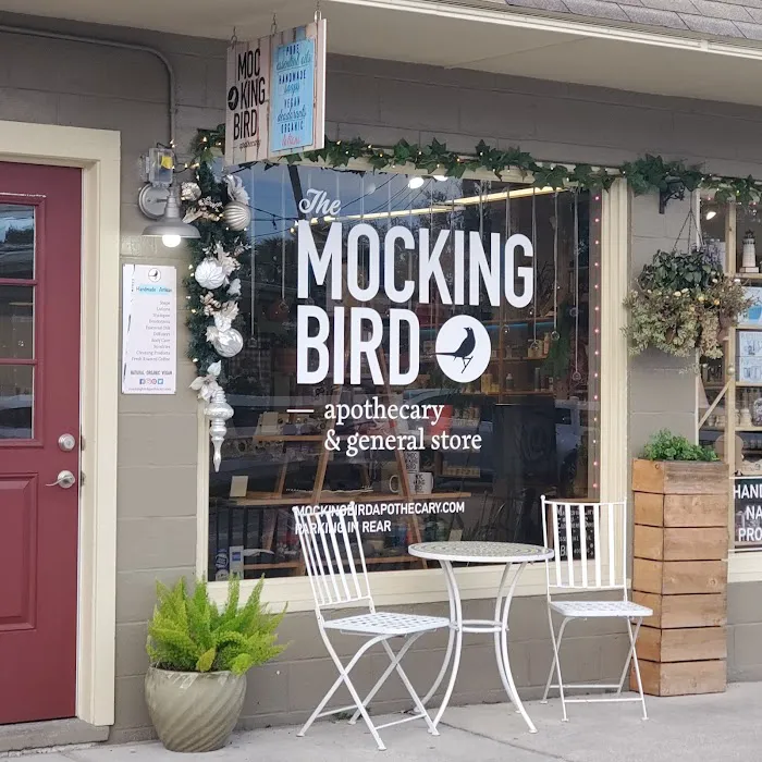 Mockingbird Apothecary & General Store 6