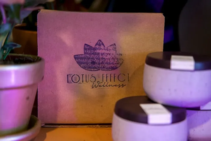 Lotus Effect Wellness 0