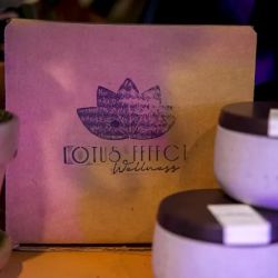 Lotus Effect Wellness ico