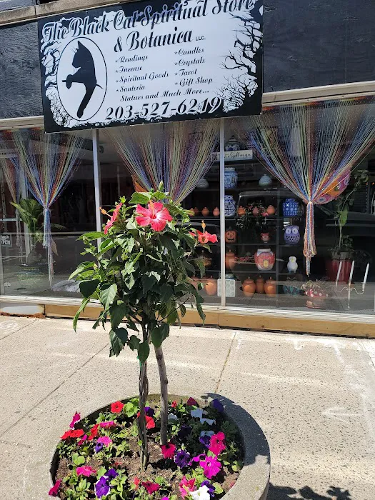 The Black Cat Spiritual Store & Botanica LLC & Flower Shop 9