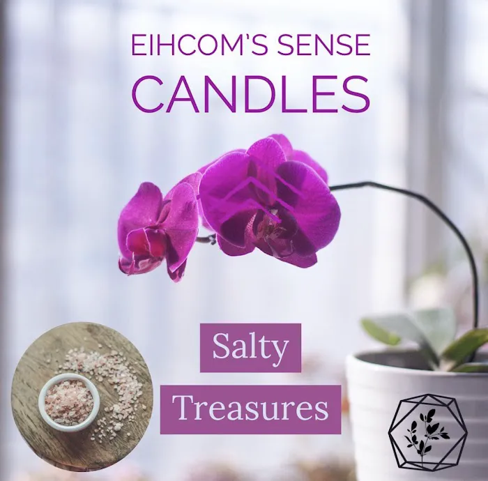 Eihcom’s Sense, LLC 4