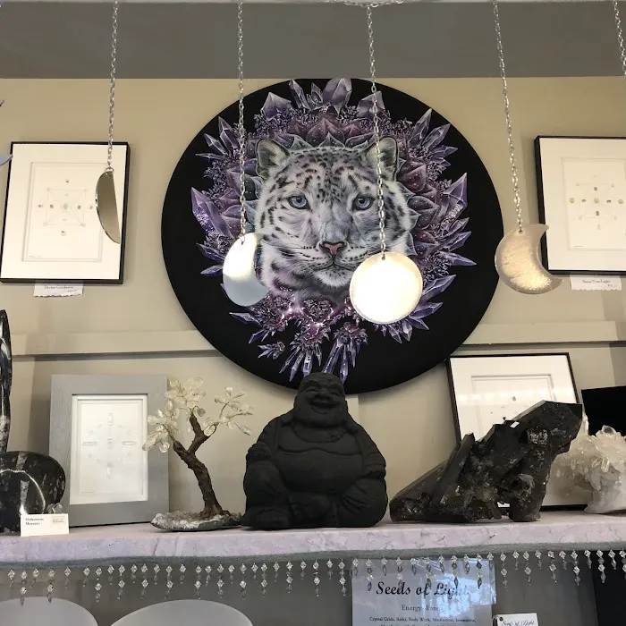 New Insights Metaphysical Boutique 2