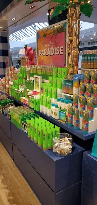 Bath & Body Works 3