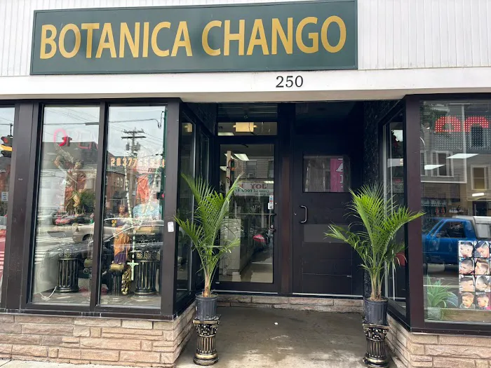 Botanica Chango 1