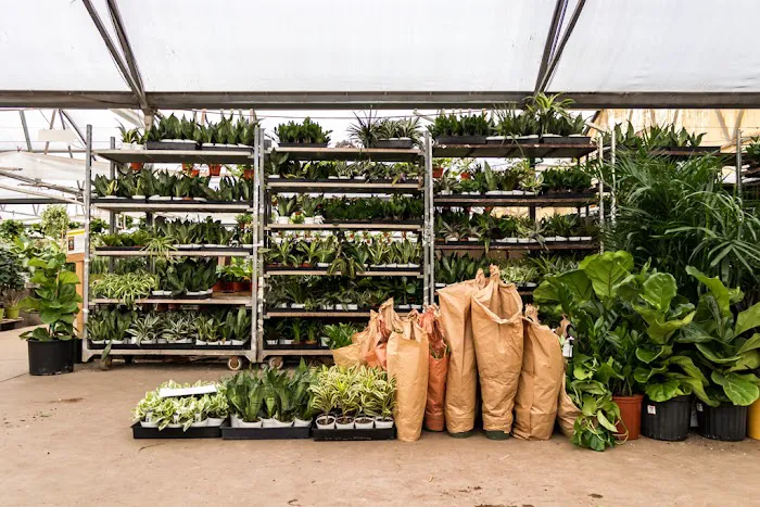 Plant Stand of Arizona 2