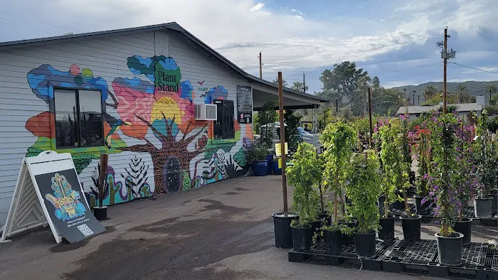 Plant Stand of Arizona 1