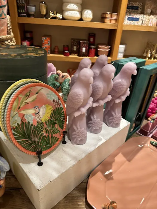 Anthropologie 1