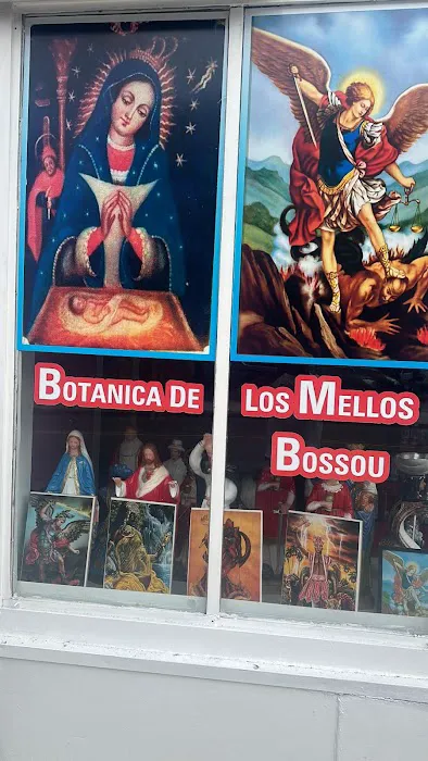 botanica de los mellos bossou 3